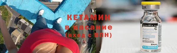 индика Алзамай