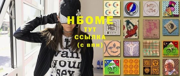 индика Алзамай