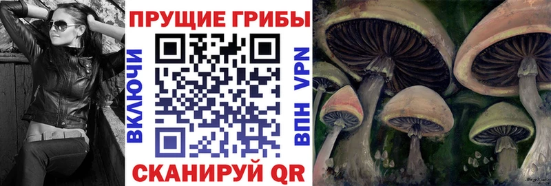 Псилоцибиновые грибы Psilocybine cubensis  blacksprut как войти  Малаховка  купить  